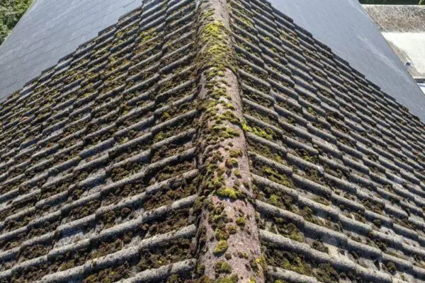 Wall & Roofing Coating LTD